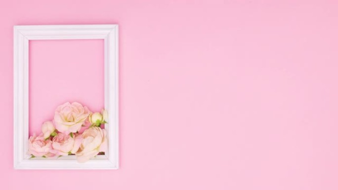浪漫的白色框架，粉色主题的柔和玫瑰花。停止运动