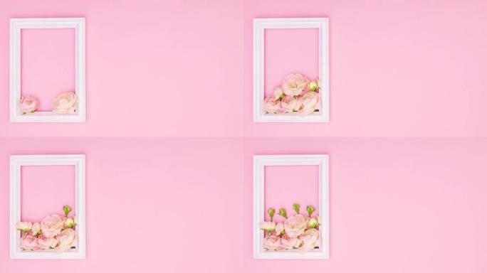 浪漫的白色框架，粉色主题的柔和玫瑰花。停止运动
