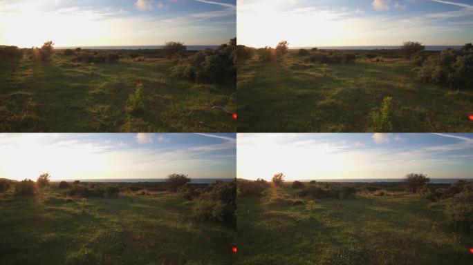 日出时，在美丽的草地景观上向后飞翔，地平线上有森林，多姿多彩的早晨天空。向前多莉相机移动。