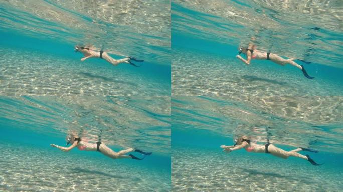 海。一个戴着水下面具和通气管的女人在海里游泳。埃及。红海
