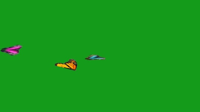 飞蝶绿屏运动图形蝴蝶带通道彩色蝴蝶抠像通