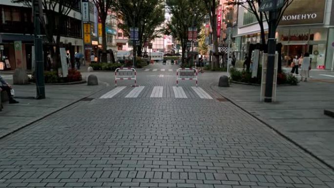 东京新宿区繁华闹市区的人行道