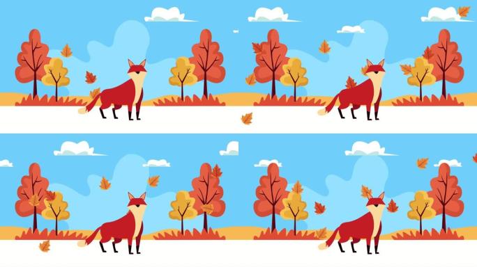 你好秋季动画与野生狐狸在森林景观场景