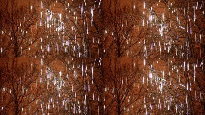 圣诞节。晚上以掉落的形式照亮树木。特写。新年主题