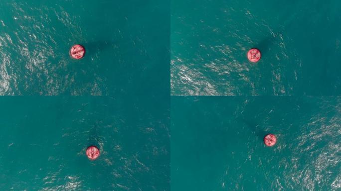 在美丽的蓝色大海中拍摄红色浮标