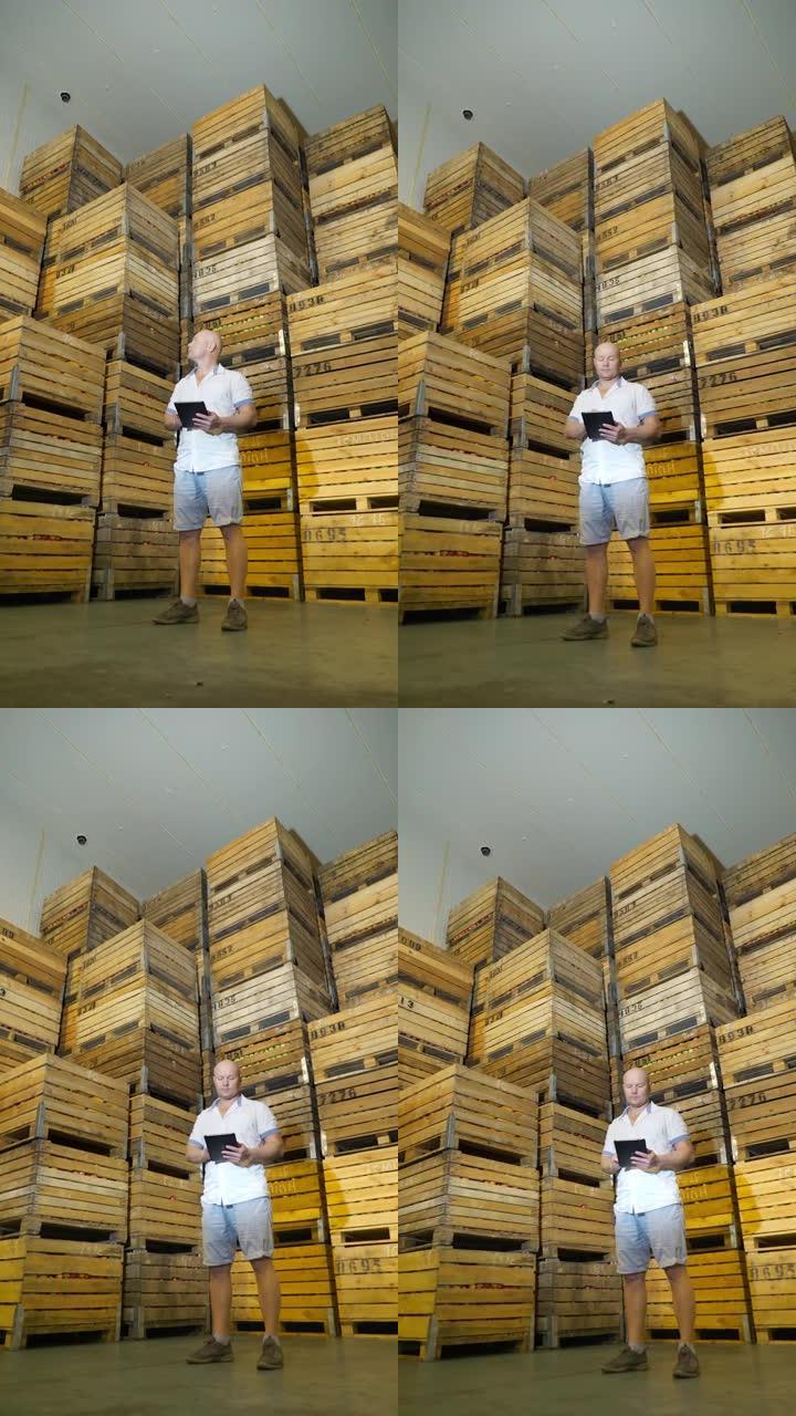 苹果存储。仓库。一堆堆装着苹果的木箱装在巨大的不透气储存冰箱里。男性员工在仓库使用平板电脑工作。垂直