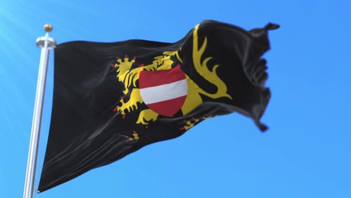 比利时弗拉芒地区弗拉芒布拉班特省的旗帜。循环