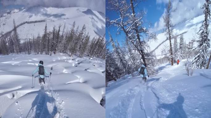 高速野雪粉雪跟拍4K