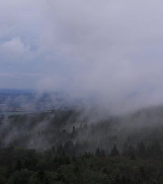最近下雨后森林的水分蒸发。雾在捷克共和国利贝雷茨地区的je š t ě d山脊上滚动。白色黑暗逐渐来