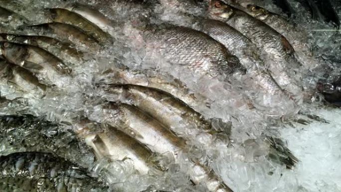 鱼市场的柜台上放着许多撒着碎冰的生冻鲫鱼。