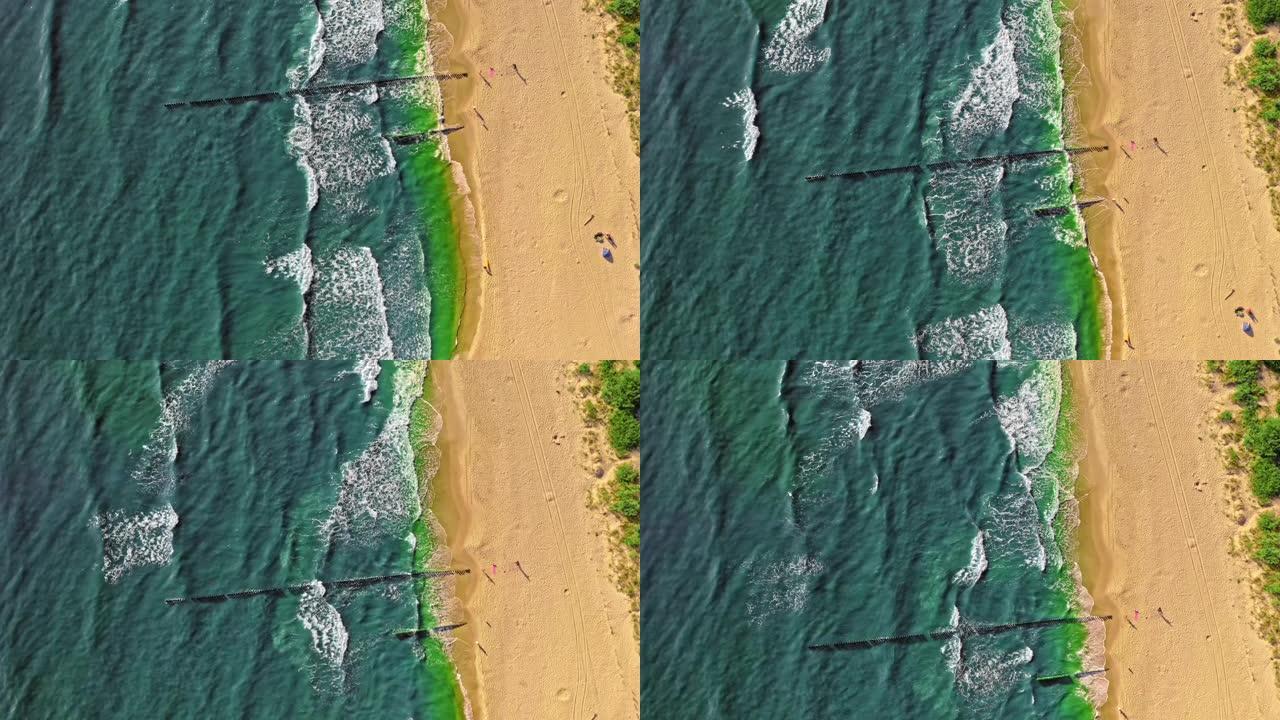 波罗的海蓝藻的俯视图