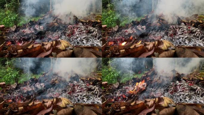 火烧干叶在森林野火污染