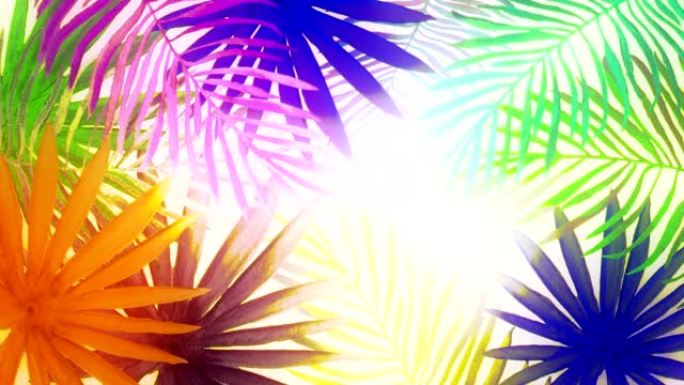 手绘水彩热带棕榈叶的抽象背景。无缝循环4k镜头。