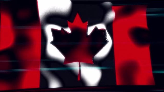 加拿大网络旗帜视频素材旗子logo