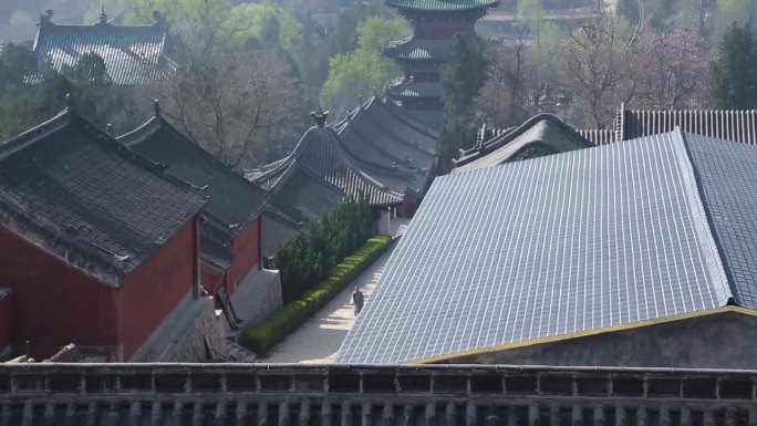少林寺航拍  传统建筑 僧人