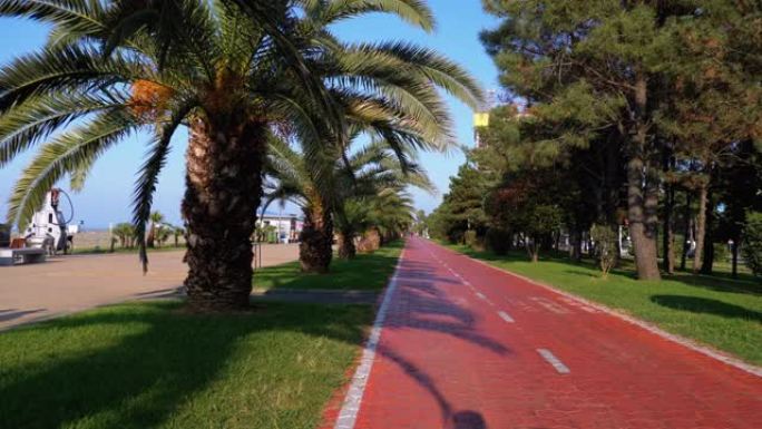沿着公园的红色自行车道骑行，棕榈树，第一人称视角