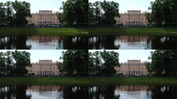 俄罗斯圣彼得堡: 夏季花园和米哈伊洛夫斯基城堡中的湖上天鹅