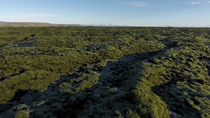 飞越冰岛的岩石和苔藓