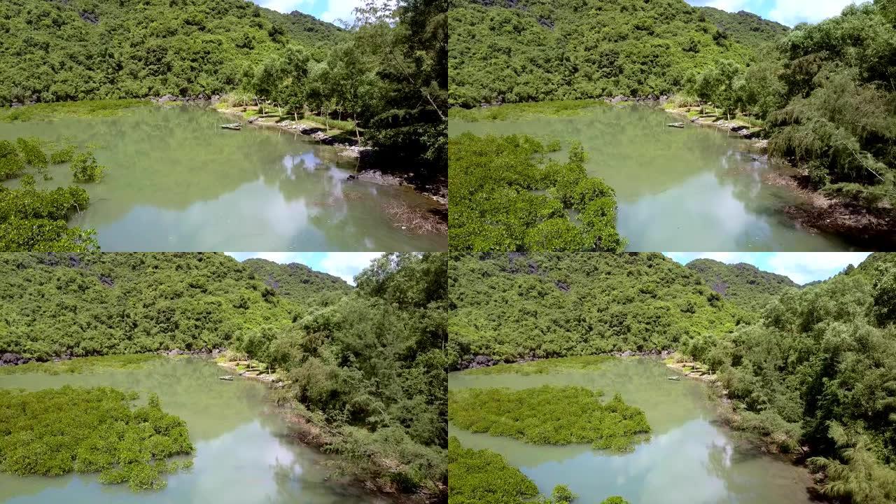 无人机在绿湾上方用水中的树木移走
