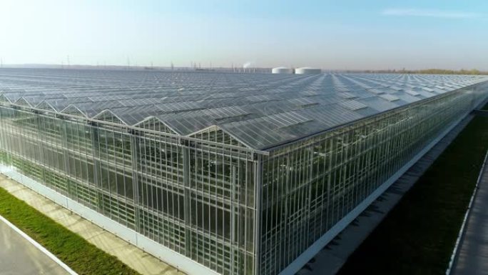一架直升机在一个现代温室建筑群上起飞。大型农业综合体。全年种植蔬菜、水果、花卉的工业温室。现代农业。