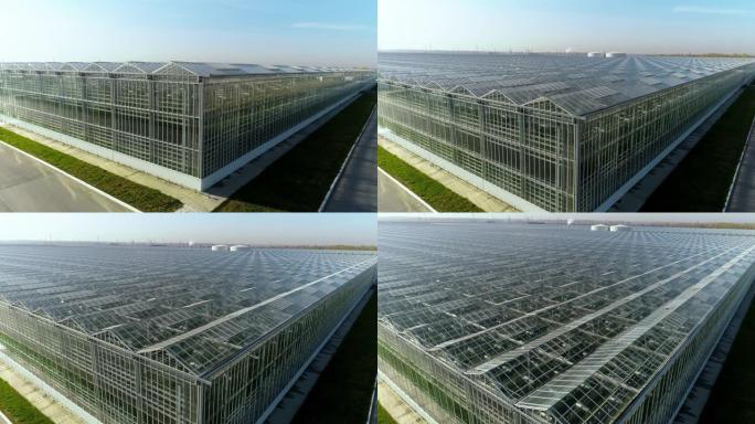 一架直升机在一个现代温室建筑群上起飞。大型农业综合体。全年种植蔬菜、水果、花卉的工业温室。现代农业。