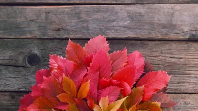 乡村木质背景上的彩色秋叶，带复制空间