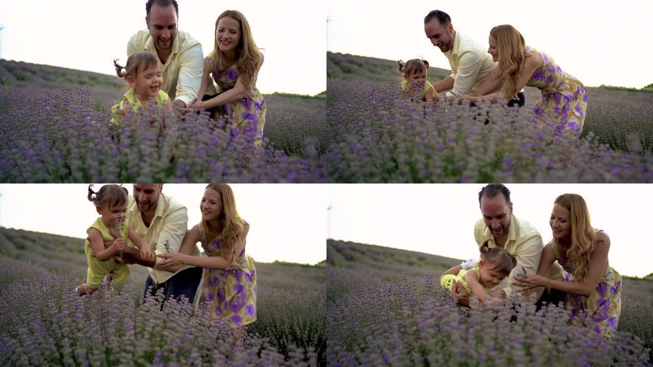 幸福的家庭妈妈，爸爸和女儿在薰衣草地里玩得开心