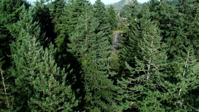 无人机滑行公路车森林夏季俄勒冈州国内地区