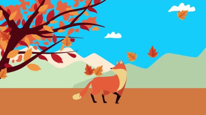 你好秋季动画与野生狐狸在风景