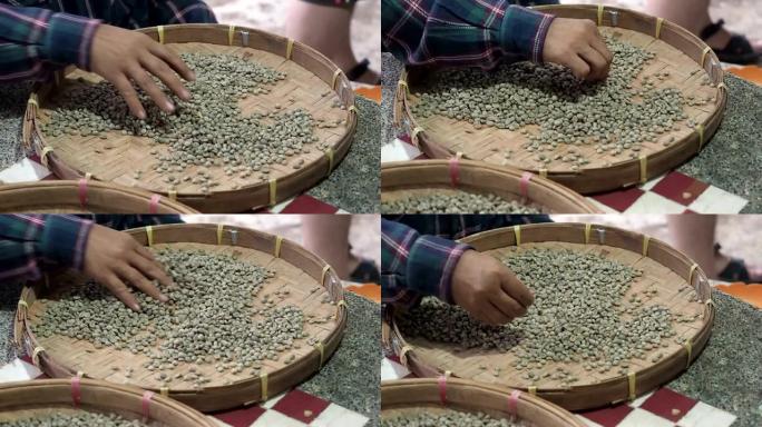 一位老妇人的手通过阿拉比卡咖啡豆进行分类，对东南亚咖啡种植厂进行质量控制和选择。