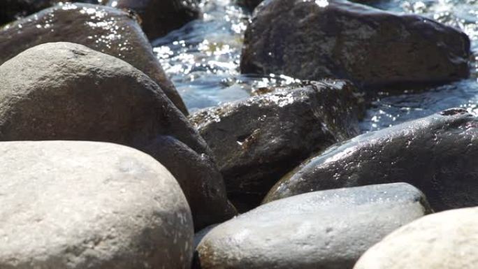 海岸螃蟹在海岸的岩石上爬行
