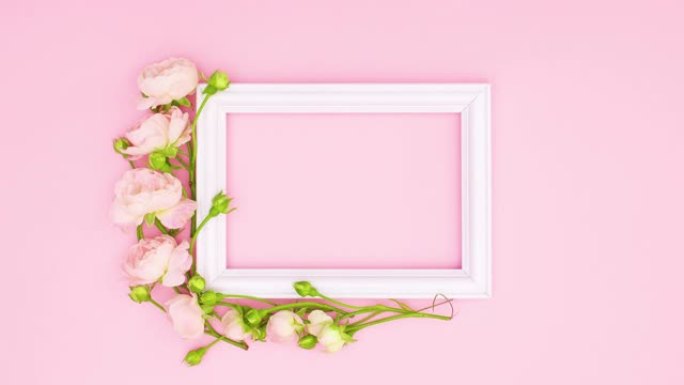 浪漫的玫瑰出现在粉红色主题的白色框架周围。停止运动