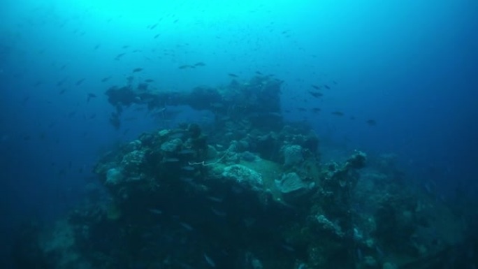 水下特鲁克群岛沉船的战炮。
