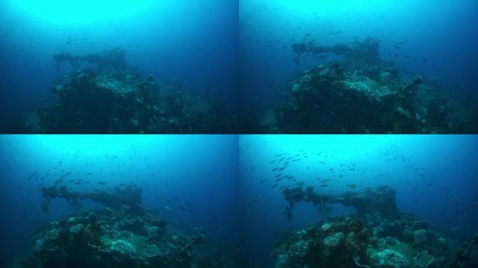 水下特鲁克群岛沉船的战炮。
