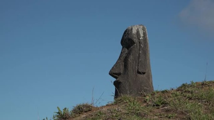 复活节岛的石像。智利。