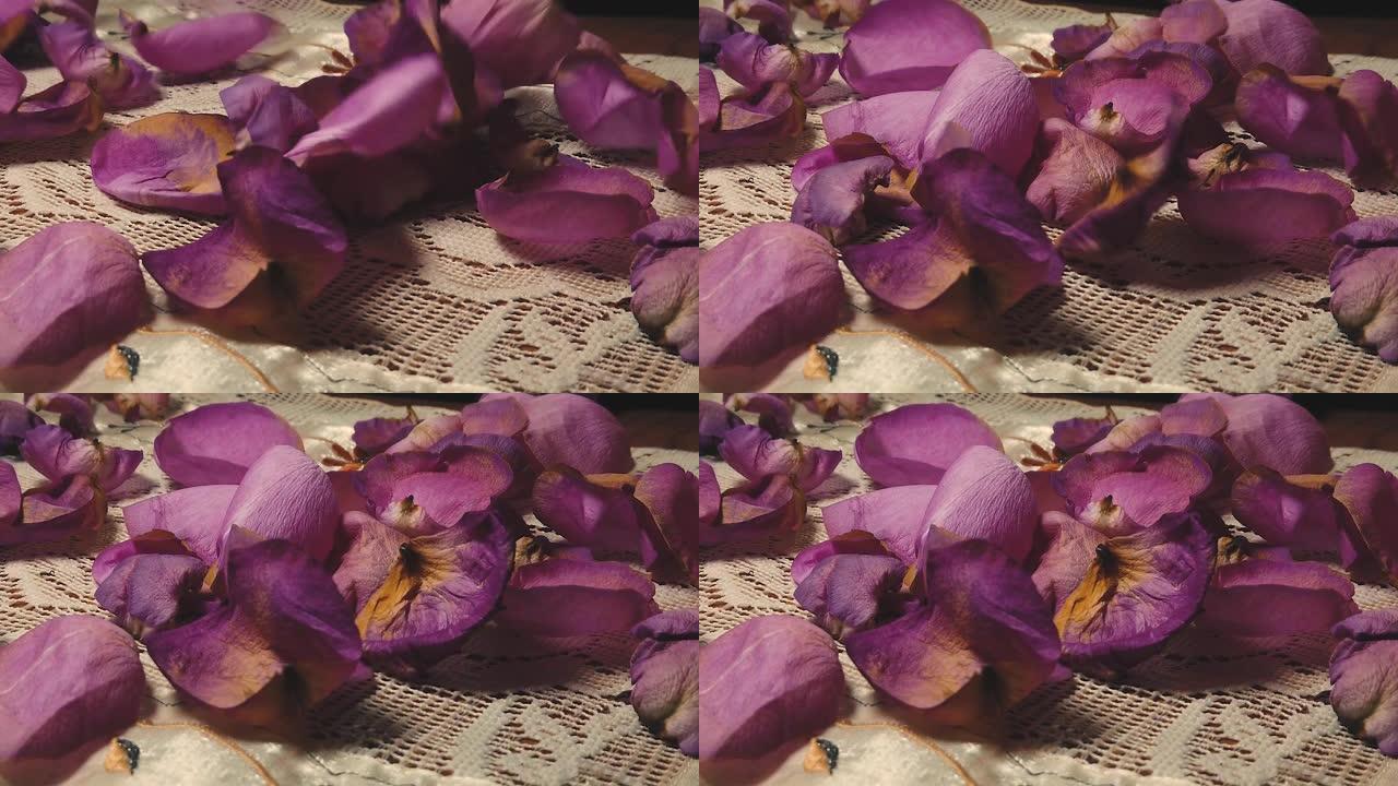 紫色玫瑰花瓣以慢动作落下