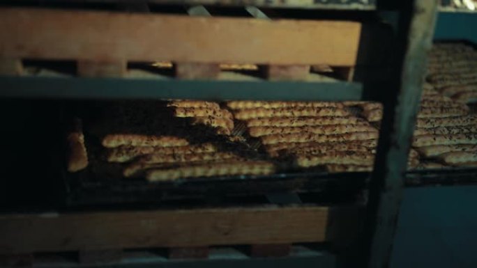 脆饼成排，调味，撒上小茴香，香菜放在烤箱托盘上。