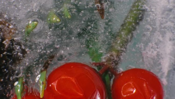 红莓金丝桃在冰中融化的时间流逝宏观，圣诞节主题庆祝活动