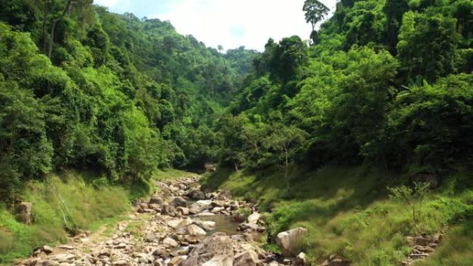 自然环境中雨林中山河的鸟瞰图。