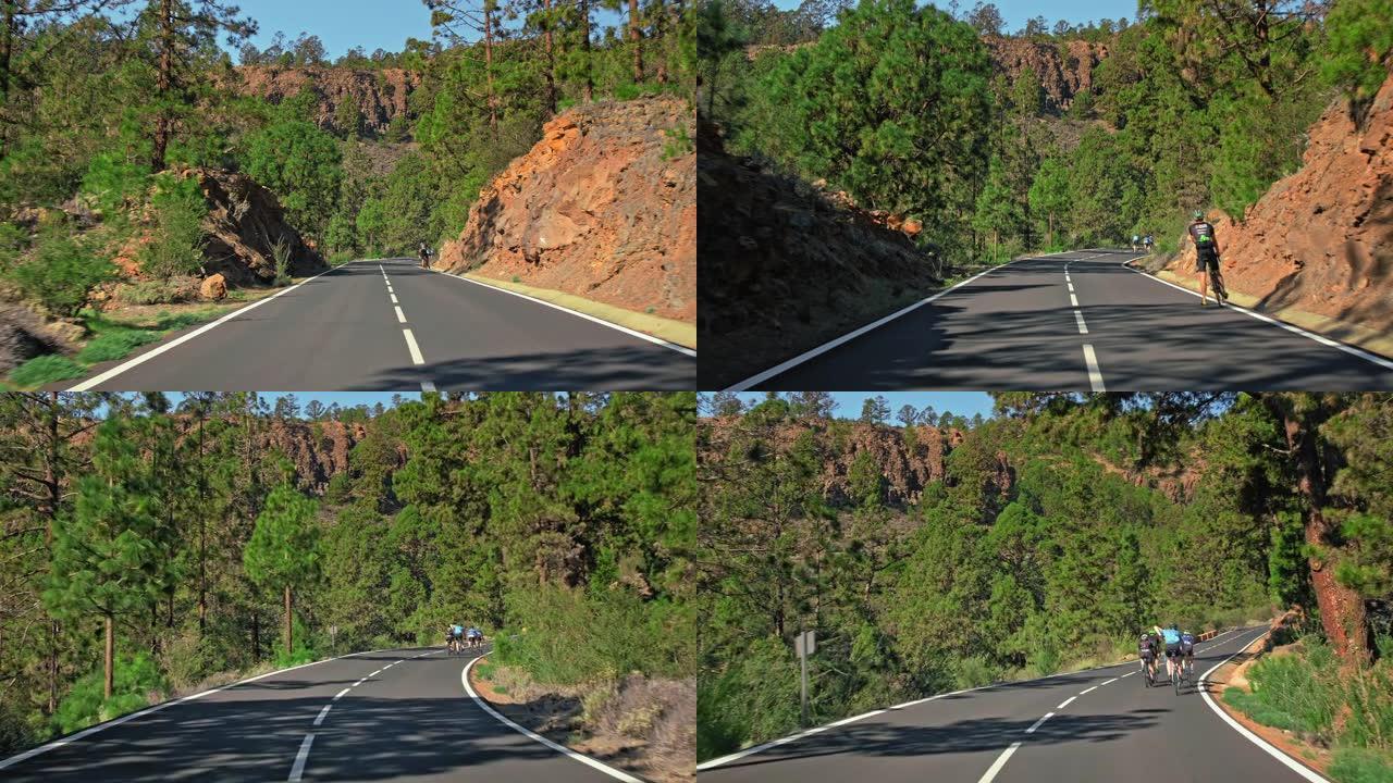 一群无法识别的骑公路自行车的人在山路上行驶。被岩石景观和针叶树包围
