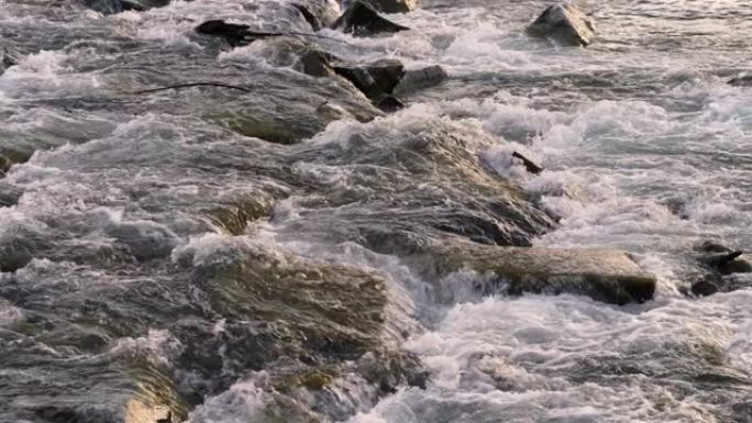 水在浅河的岩石上迅速流动，在午后的阳光下照亮的石头上形成白浪