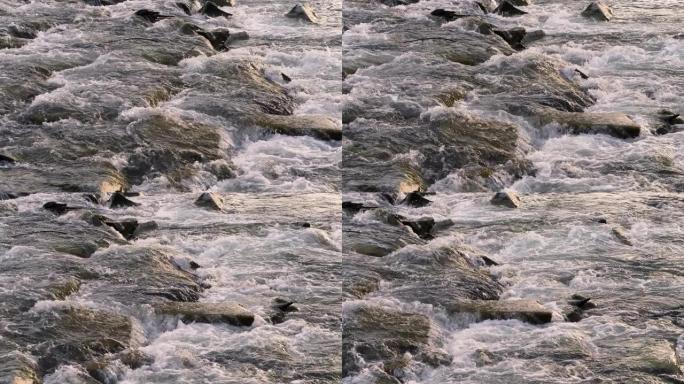 水在浅河的岩石上迅速流动，在午后的阳光下照亮的石头上形成白浪
