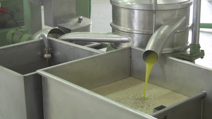 特级初榨橄榄油落在一家油厂的金属接收器中
