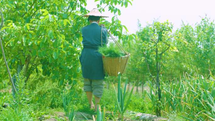 一个戴着草帽跪在田野里的女人 有树木和灌木的花园图像 一个人在田野里捡草