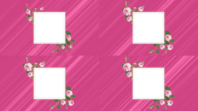 白色正方形，叶子和花朵在淡粉色条纹上