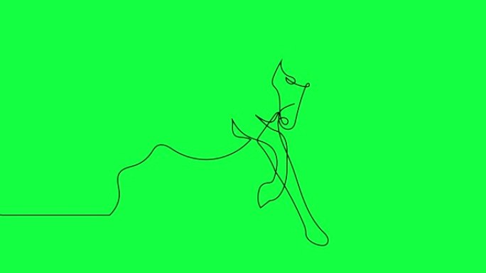 绿色屏幕上孤立矢量对象马连续单线绘制的自绘制动画