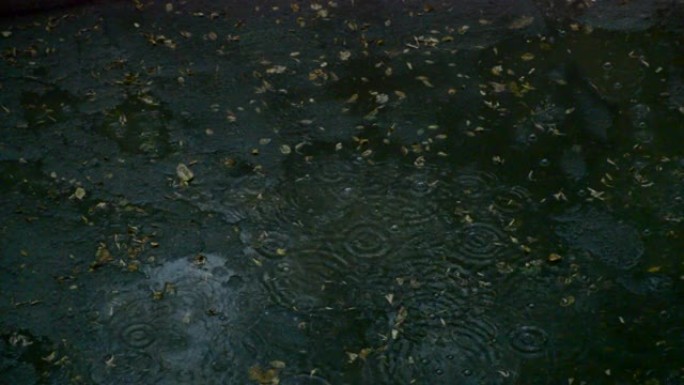 雨滴在沥青上的水坑中