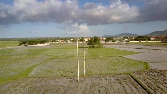 生稻田对抗乡村景观