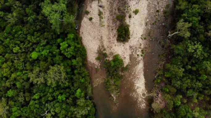 沿着昆士兰北部的一条小溪上游。河岸两边都种着热带树木。在没有水流的地方取水