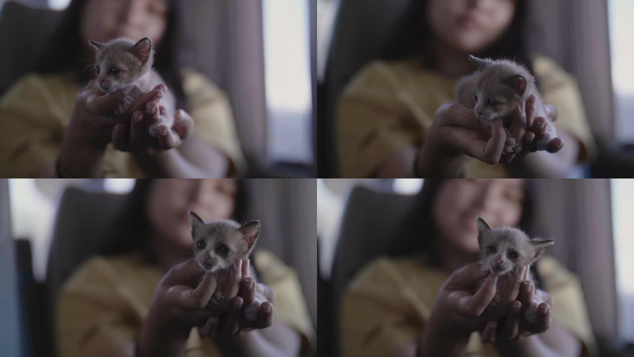 年轻女子坐在车里，手里抱着一只喵喵叫的小猫。